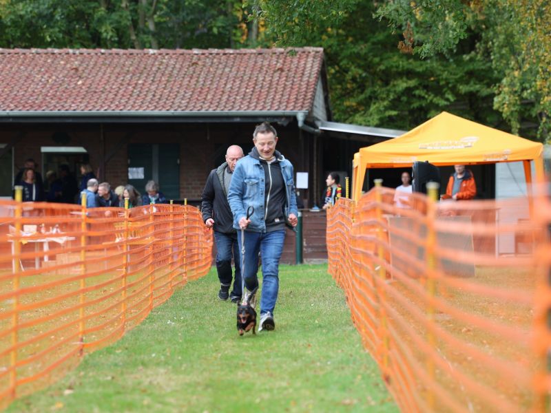 hunderennen 20 10 24