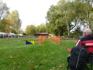 hunderennen 20 10 24