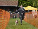 hunderennen 20 10 24
