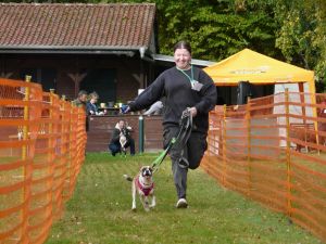 hunderennen 20 10 24