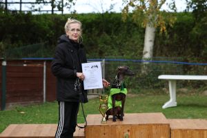 hunderennen 20 10 24