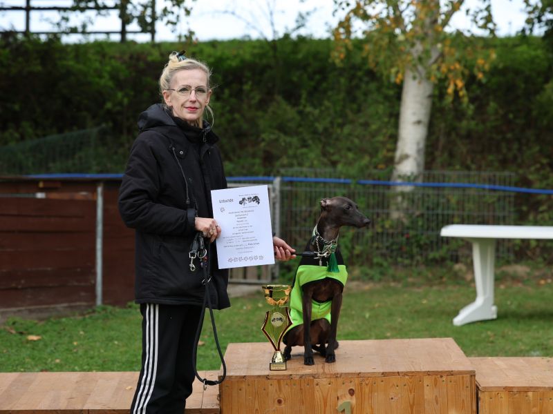 hunderennen 20 10 24