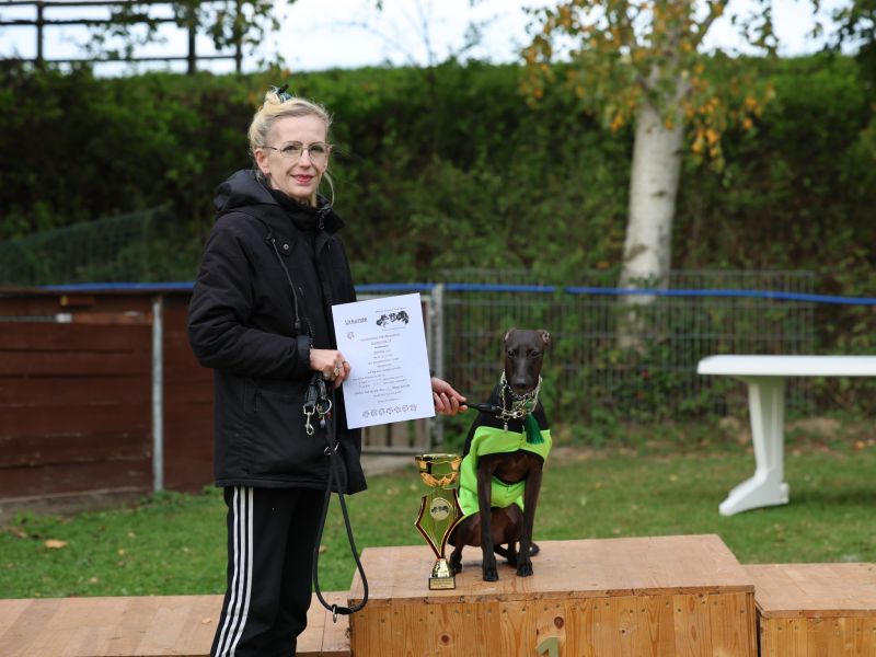 hunderennen 20 10 24