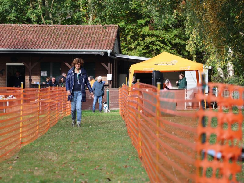 hunderennen 20 10 24