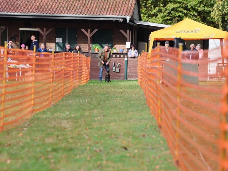 hunderennen 20 10 24