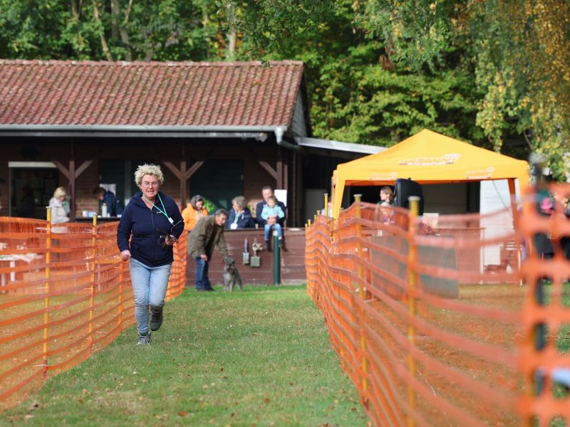 hunderennen 20 10 24