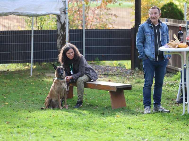 hunderennen a