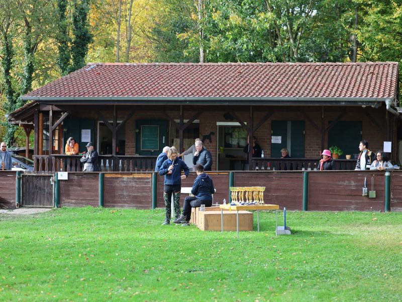 hunderennen a