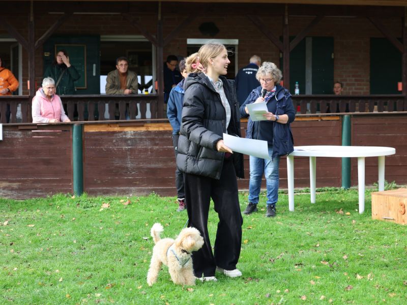 hunderennen a