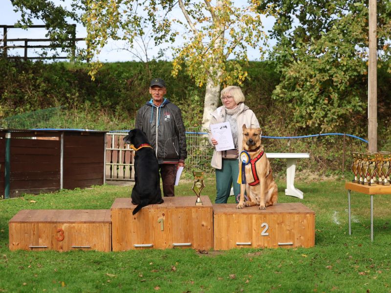 hunderennen a