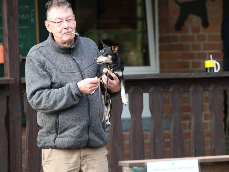 hunderennen a