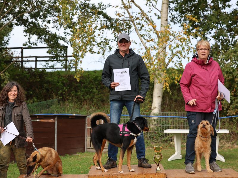 hunderennen a
