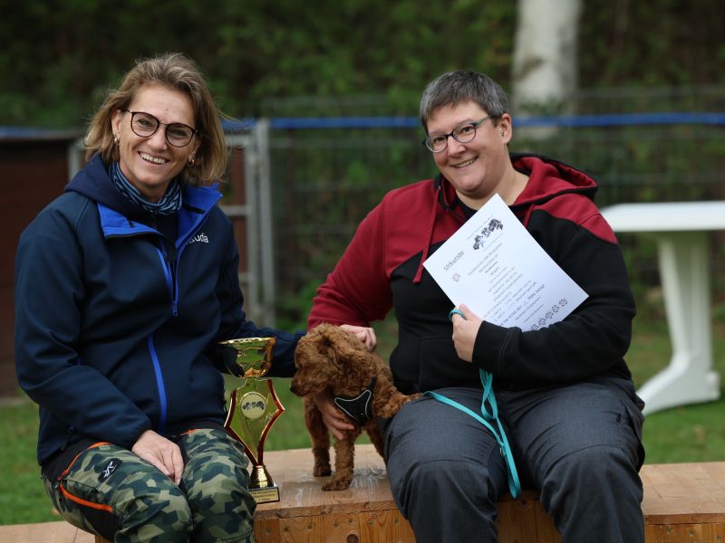 hunderennen a