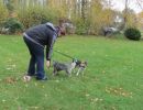 hunderennena