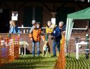 hunderennen 2020