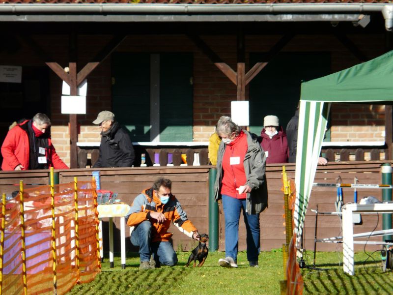 hunderennen20
