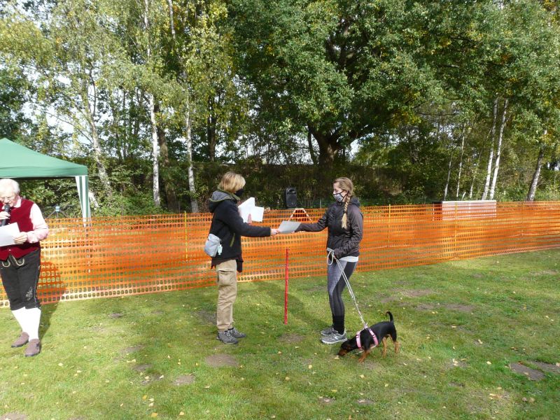 hunderennen 2020