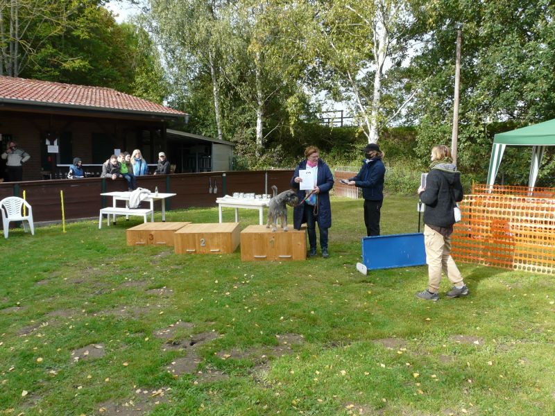 hunderennen 2020