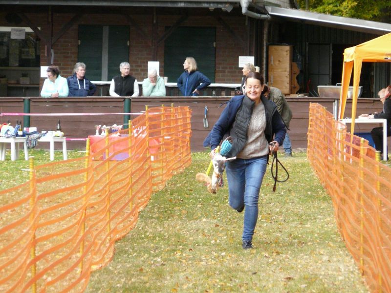 hunderennen 2021