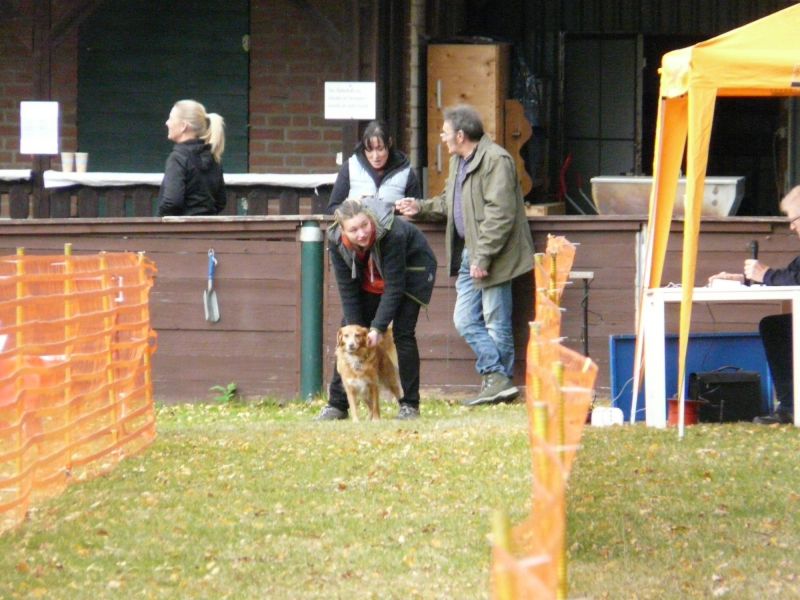 hunderennen 2021
