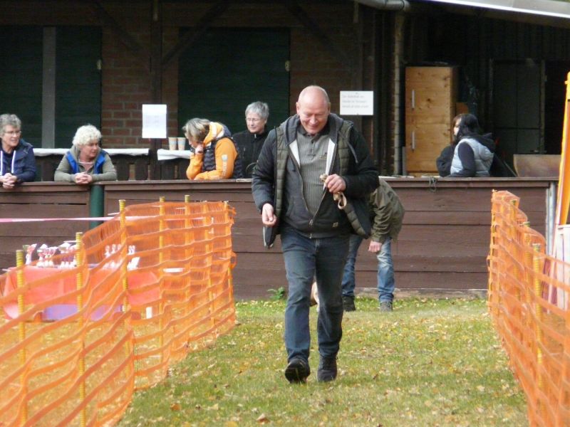 hunderennen 2021