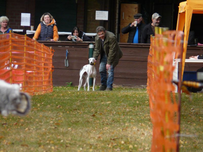 hunderennen 2021