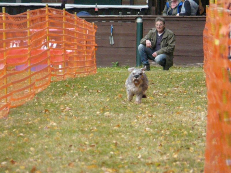 hunderennen 2021