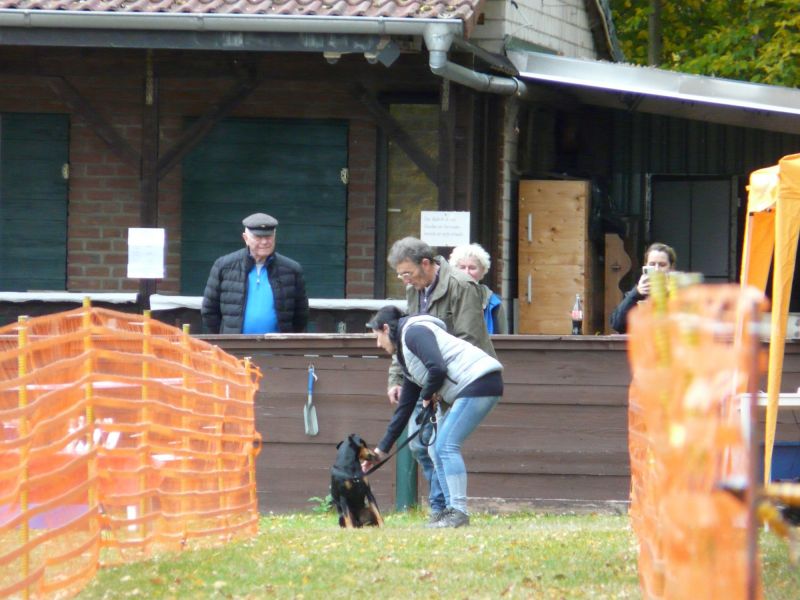 hunderennen 2021