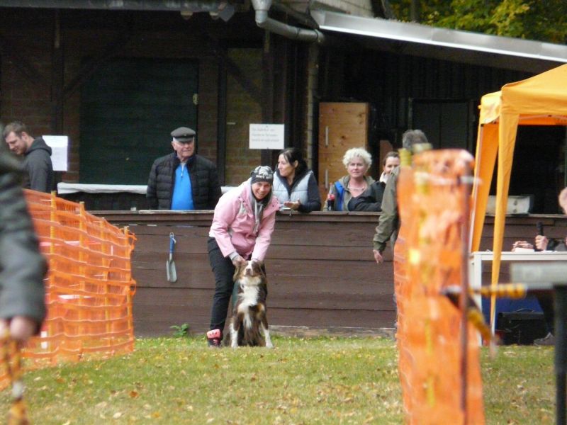 hunderennen 2021