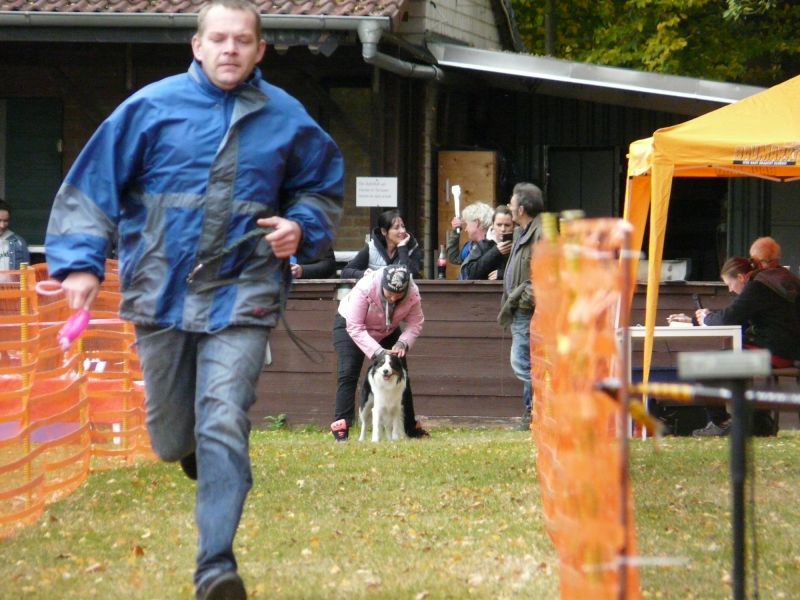 hunderennen 2021
