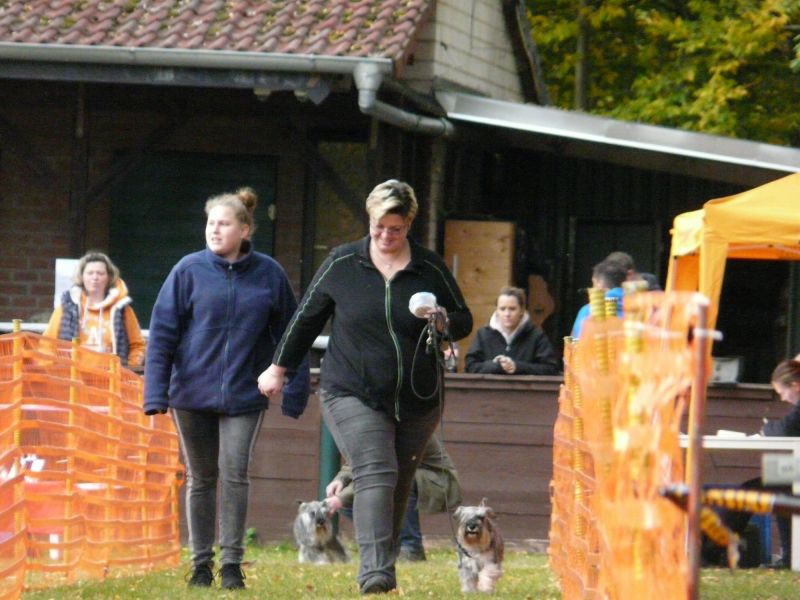 hunderennen 2021