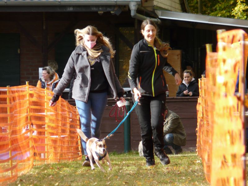 hunderennen 2021