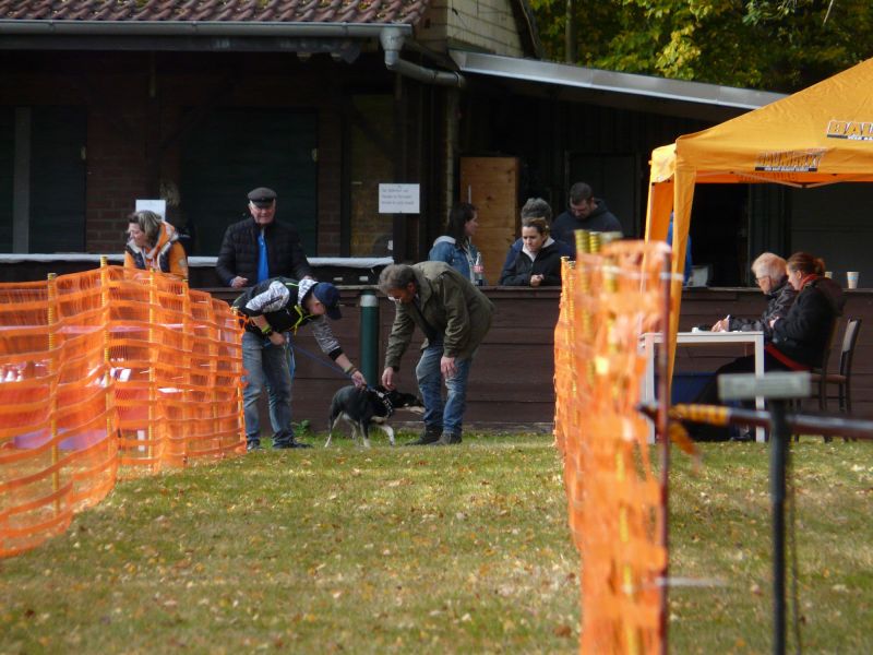 hunderennen 2021