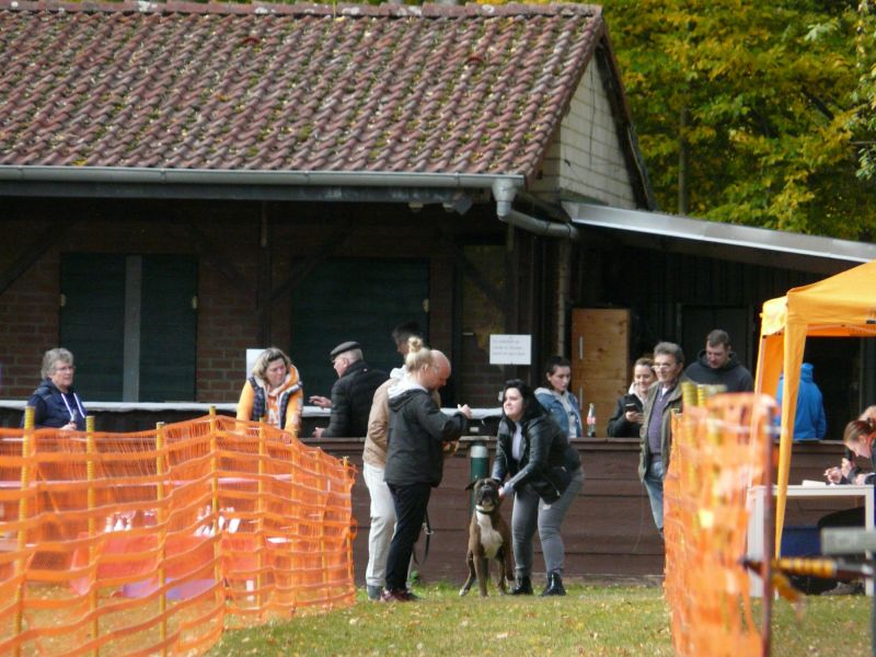 hunderennen 2021