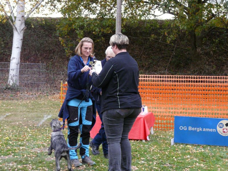 hunderennen 2021