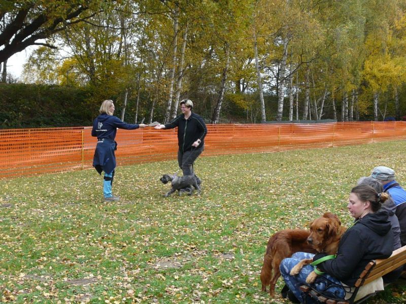 hunderennen021 495  