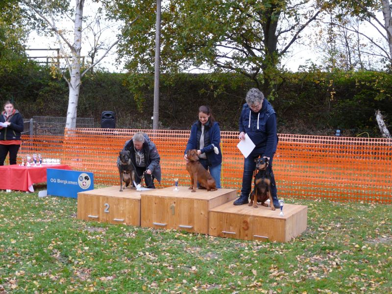 hunderennen 2021