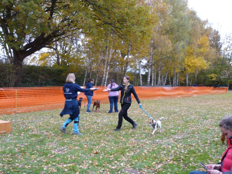 hunderennen 2021