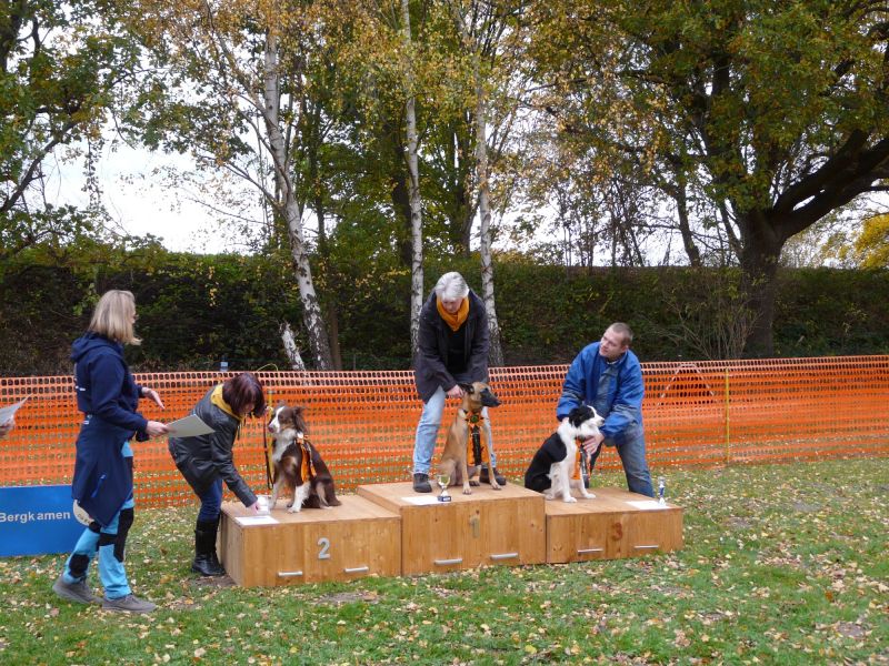 hunderennen 2021