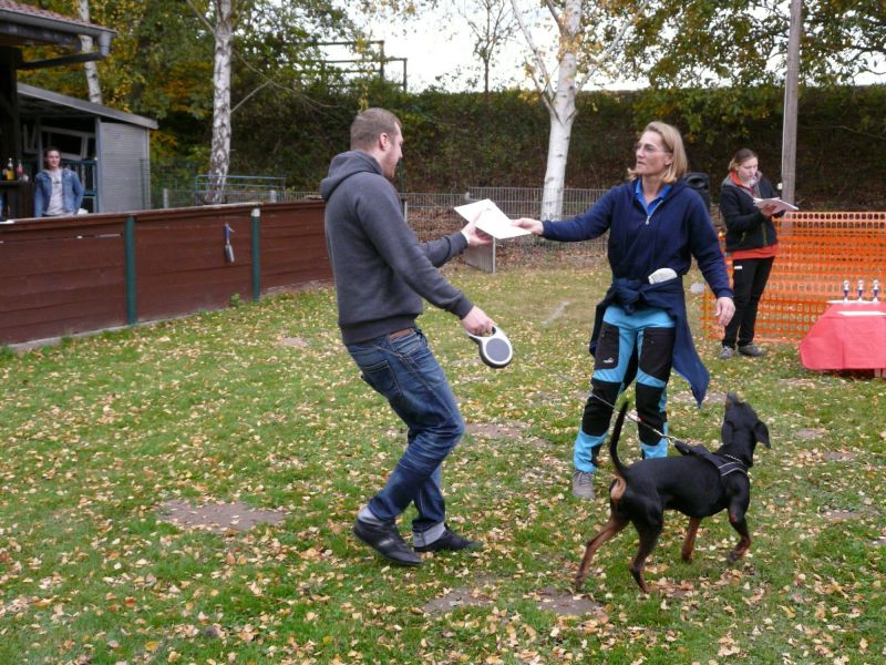 hunderennen 2021