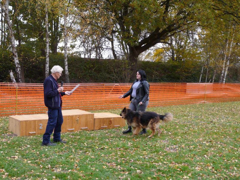 hunderennen 2021