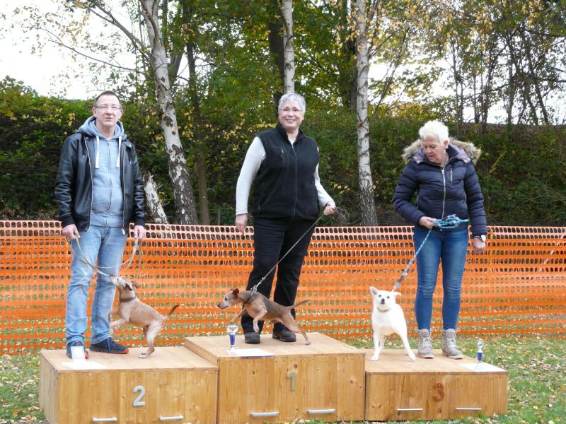 hunderennen 2021