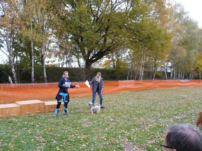 hunderennen 2021