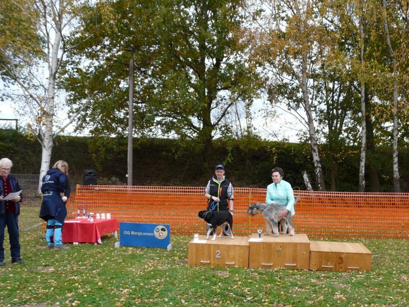 hunderennen021 561  