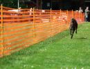 lw4a0915