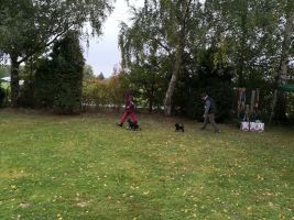 ksa nachnittag