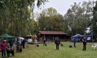 ksa nachnittag