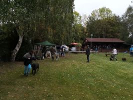 ksa nachnittag