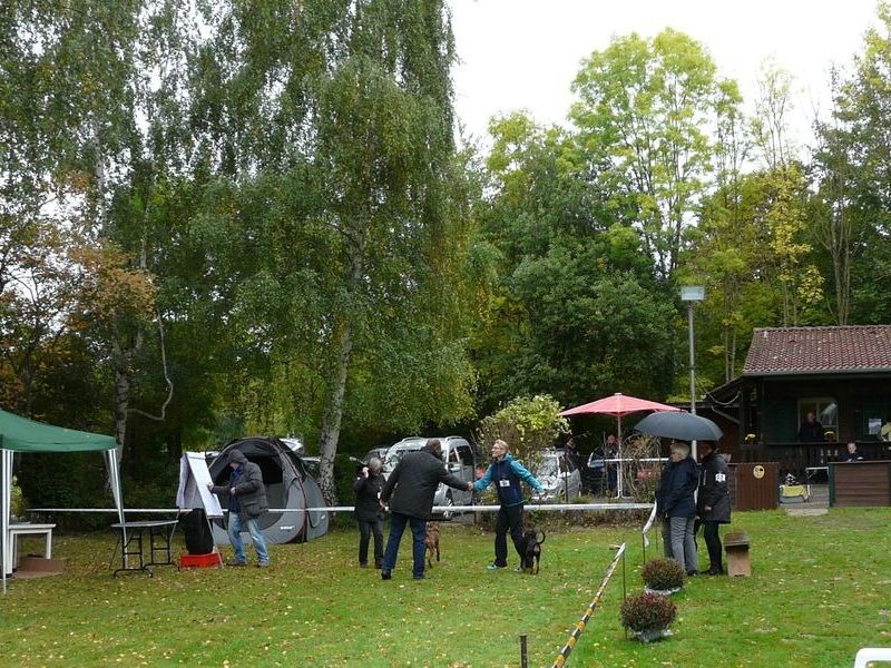 ksa vormittag 486  