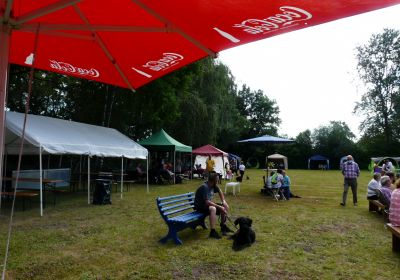 Klubsieger Ausstellung 2020 ( Corona! )